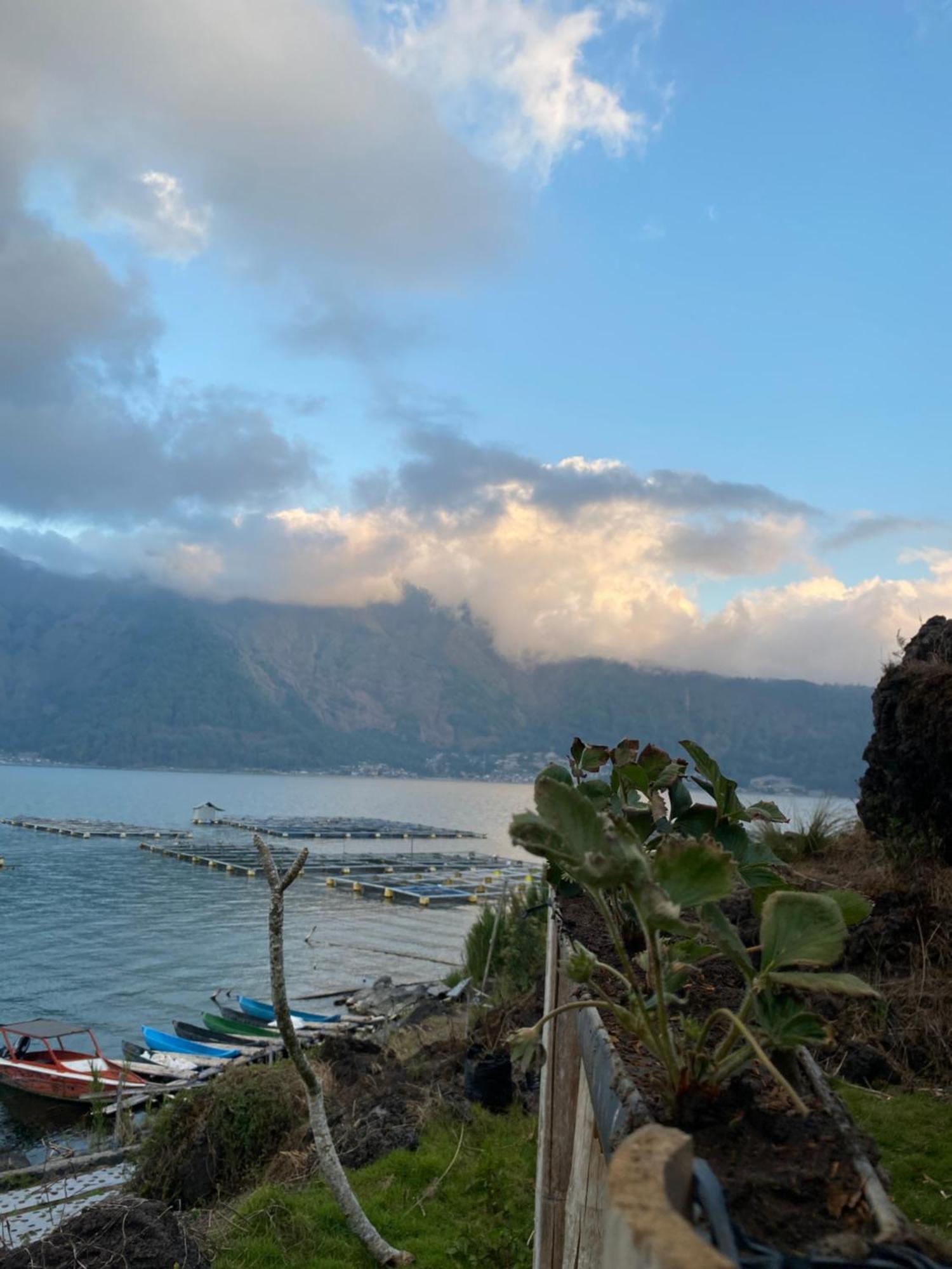 D' Tepi Danau Glamping Ξενοδοχείο Kintamani Εξωτερικό φωτογραφία